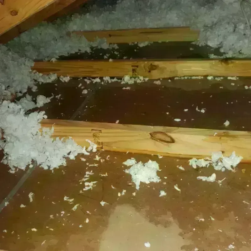 Attic Water Damage in Stanton County, NE